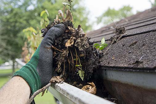Gutter Cleaning