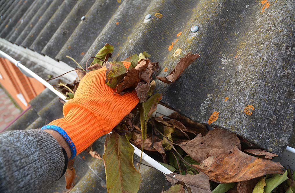 Gutter Cleaning Service