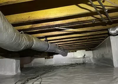Affordable Gutter Cleaning and Crawl Space Repair