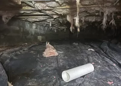 Dependable Crawl Space Repair