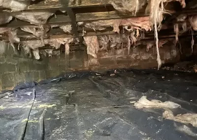 Excellent Crawl Space Repair