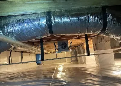 Experienced Crawl Space Repair