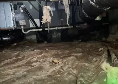 Reliable Crawl Space Repair
