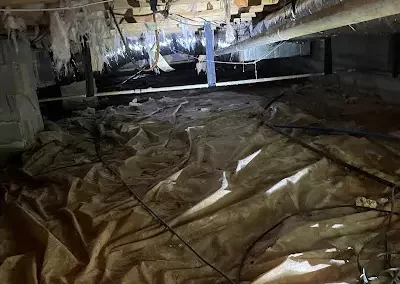 Skilled Crawl Space Repair